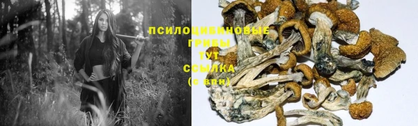 соль ск Баксан