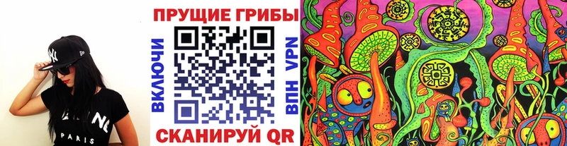 Галлюциногенные грибы Psilocybine cubensis  Костерёво 